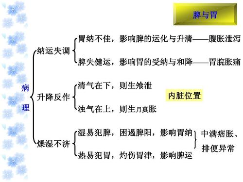 口臭的原因病理解析图