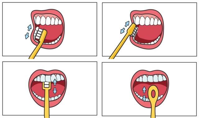 正确的刷牙方法和步骤