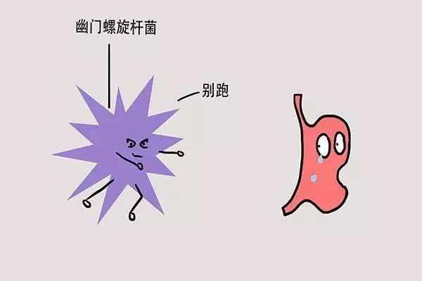 幽门螺杆菌容易引起胃炎