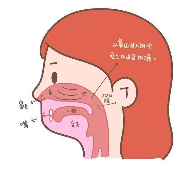 鼻炎导致口臭