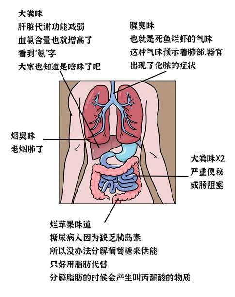 口臭的味道