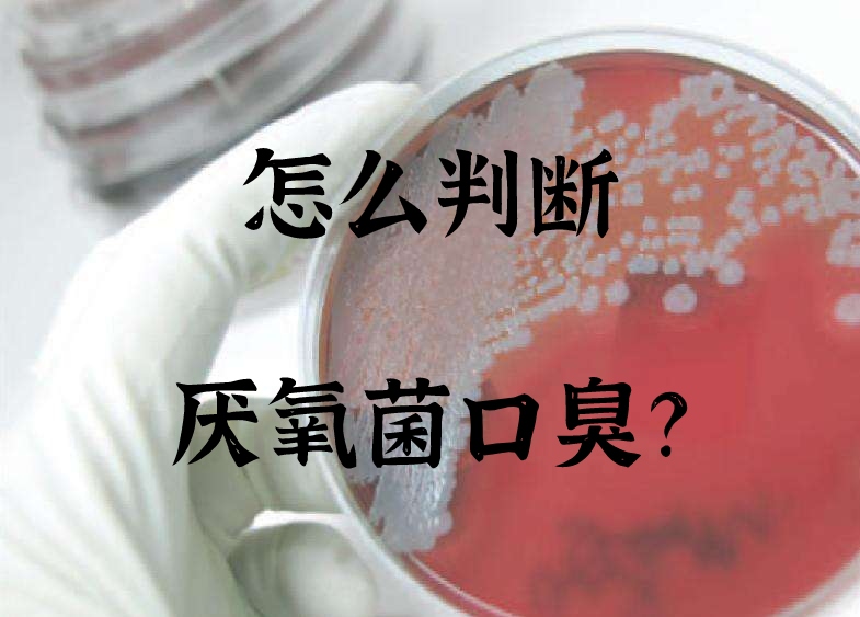 厌氧菌实拍图