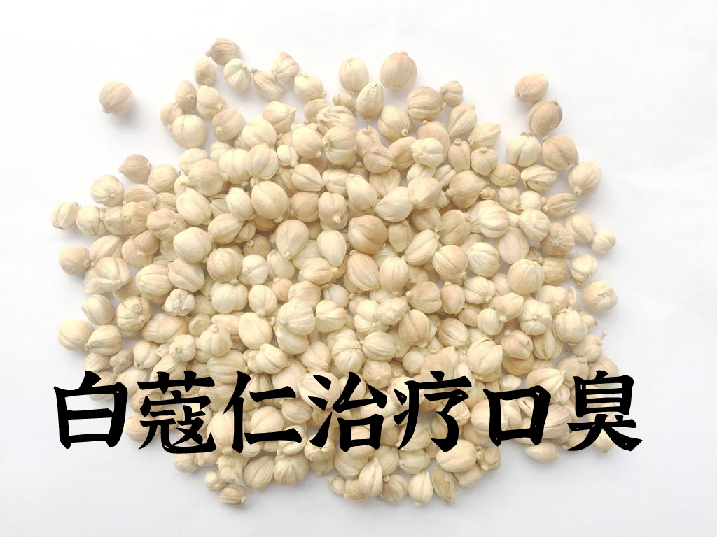 中药白蔻仁
