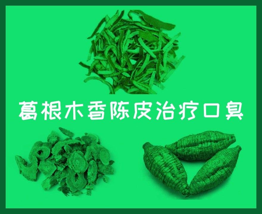 葛根木香陈皮