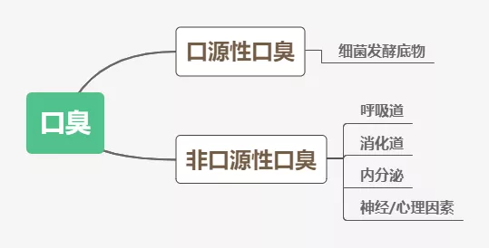 口臭的分类