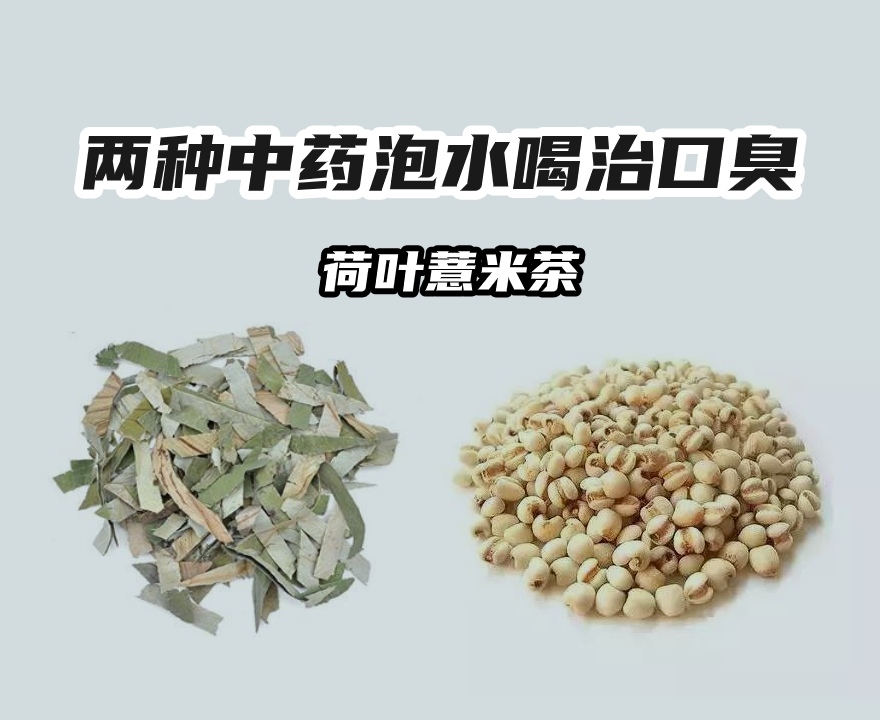 泡水喝治口臭