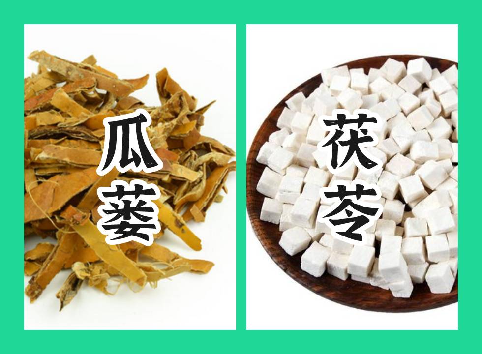瓜蒌与茯苓