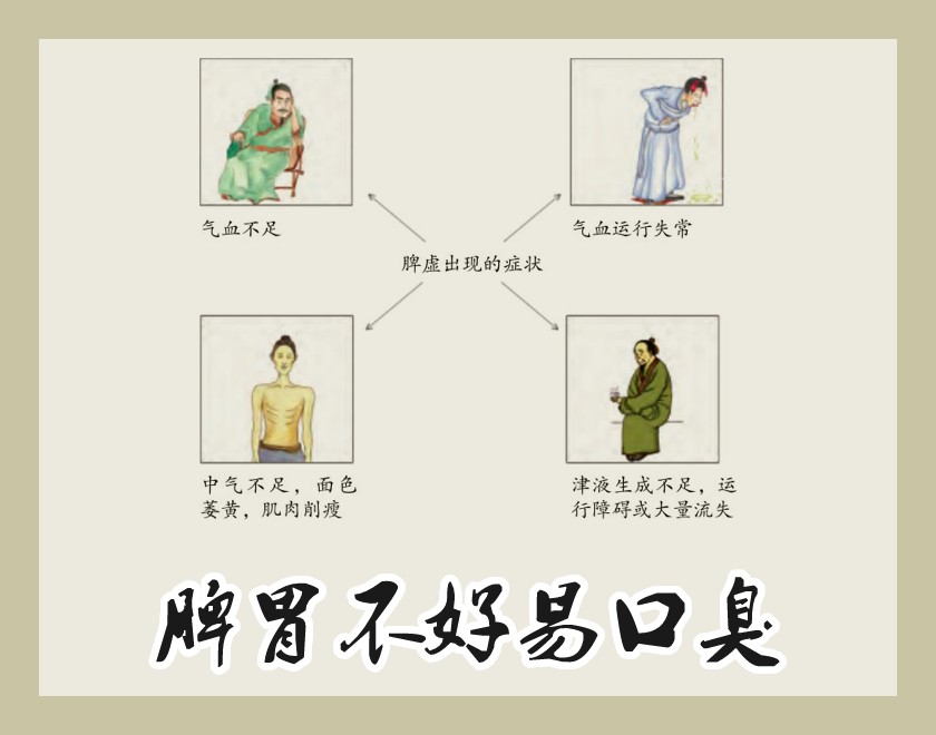 脾胃不好
