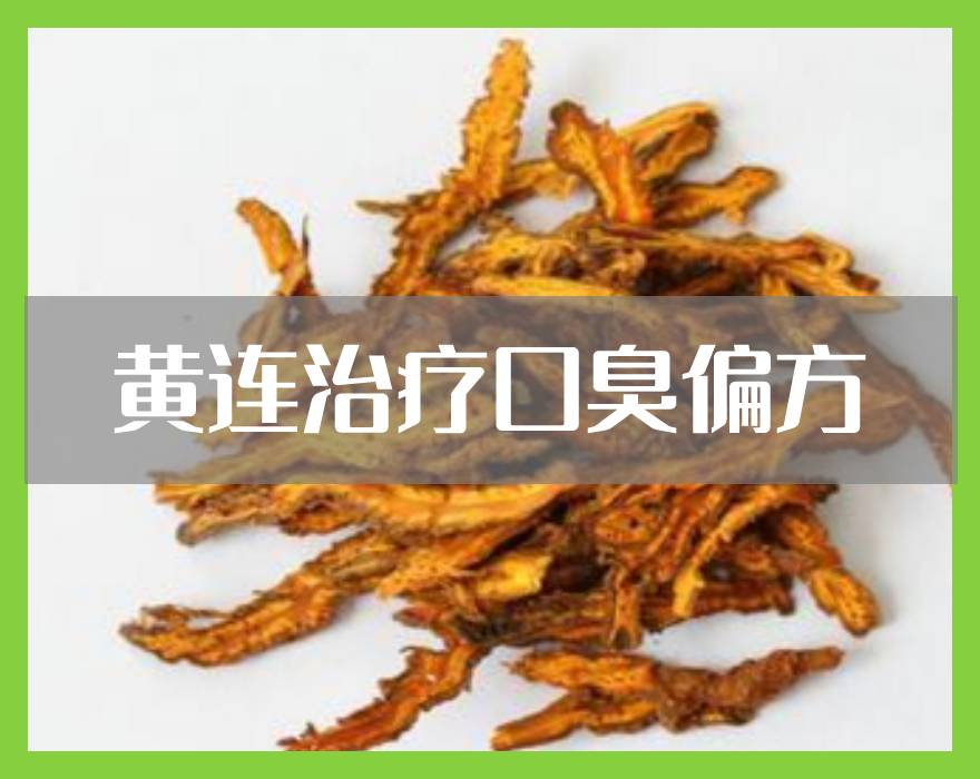 黄连中药