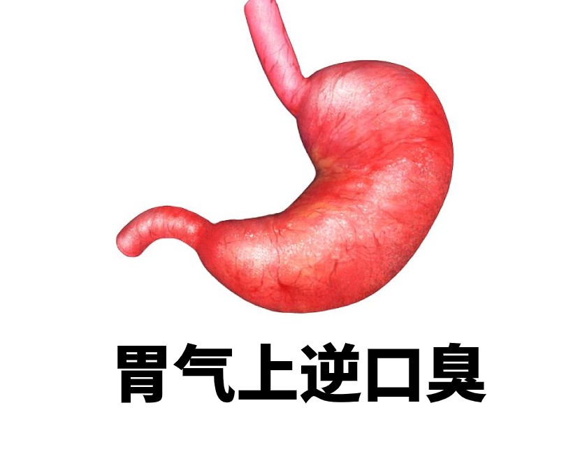 保和丸药盒