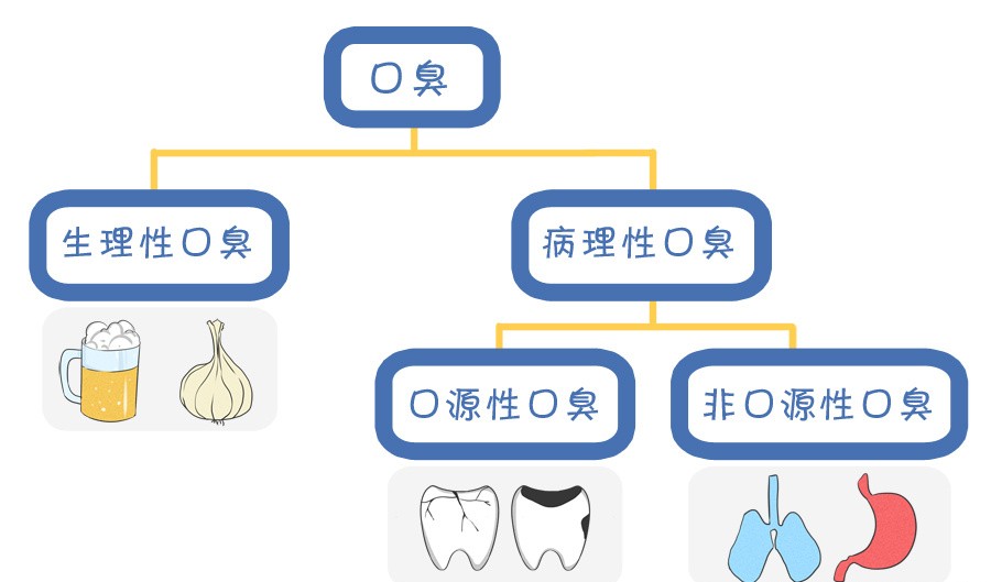 口臭分析图