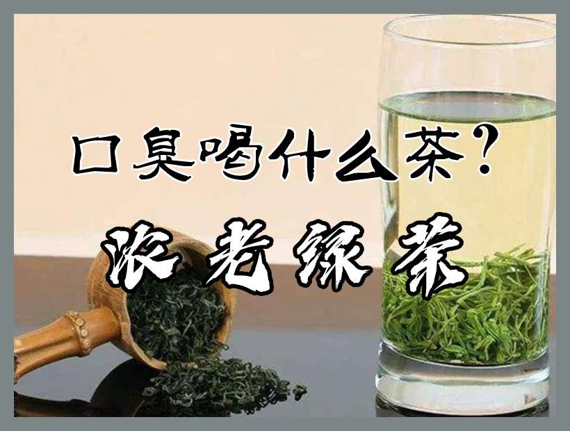 浓老绿茶