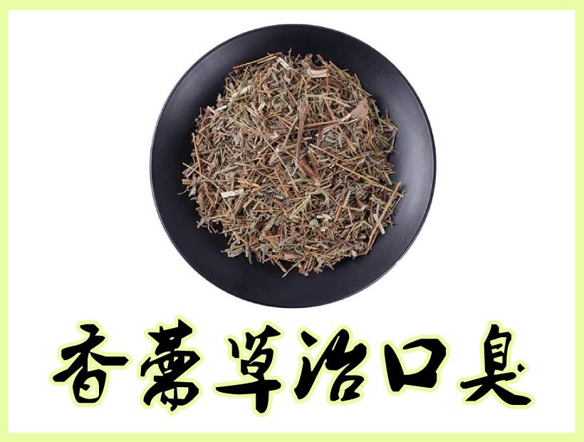 中药香薷