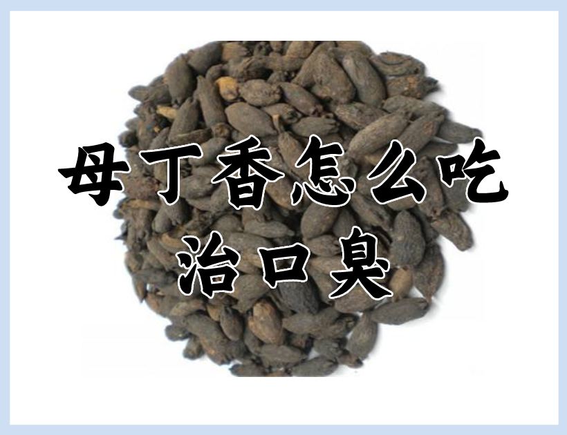 中药母丁香