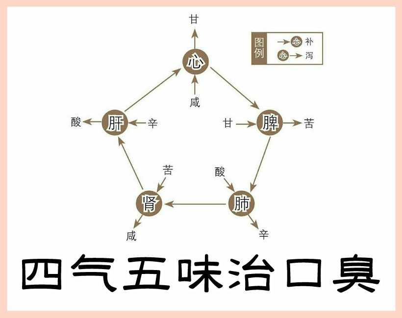 四气五味示意图