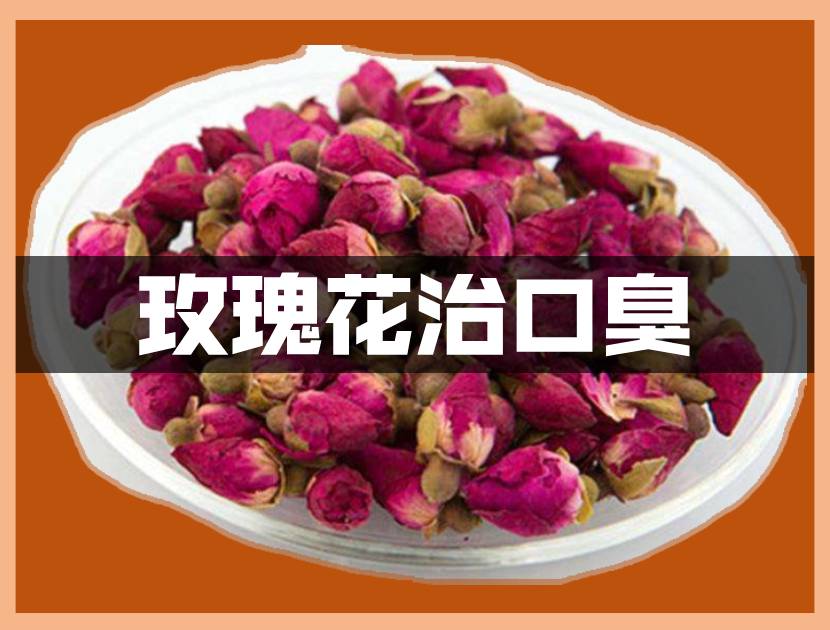 中药玫瑰花