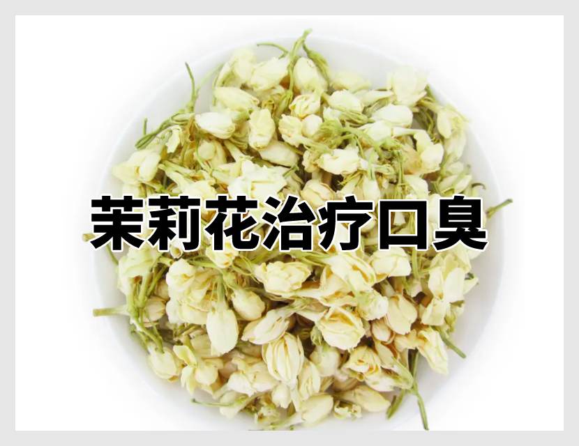 中药茉莉花