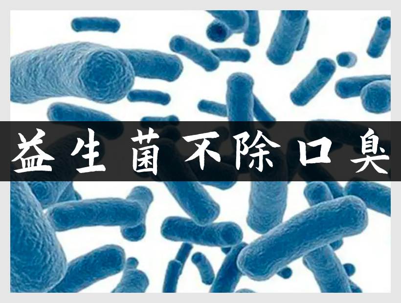 益生菌群