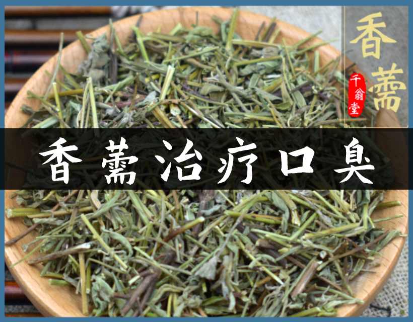 中药香薷