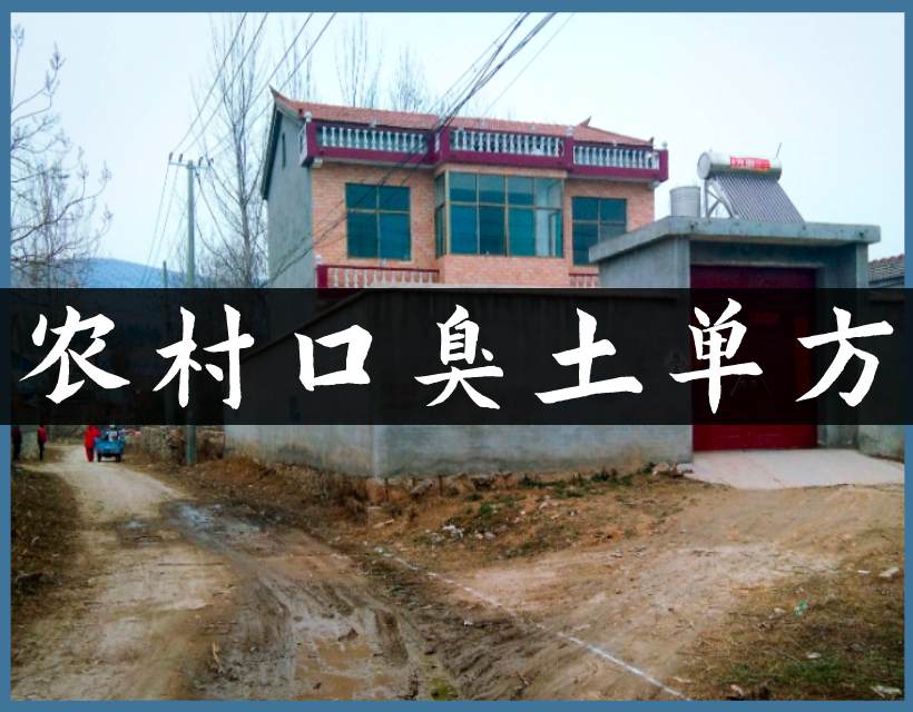 农村口臭单方
