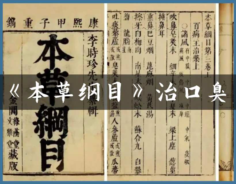 本草纲目内页