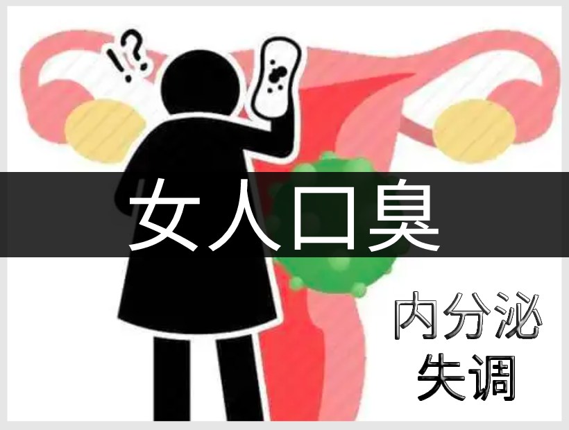 女人内分泌系统