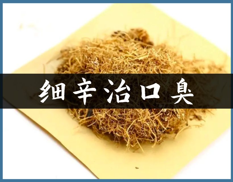 中药细辛