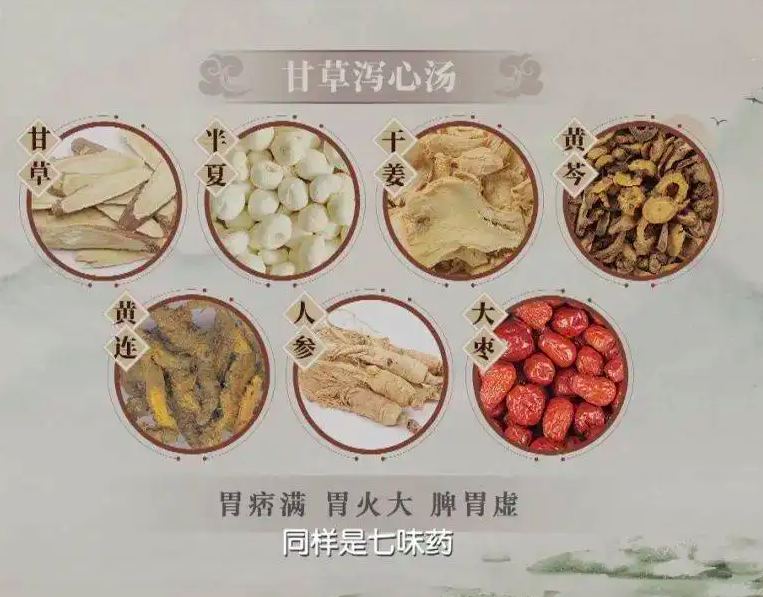 甘草泻心汤