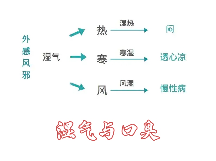 湿气示意图