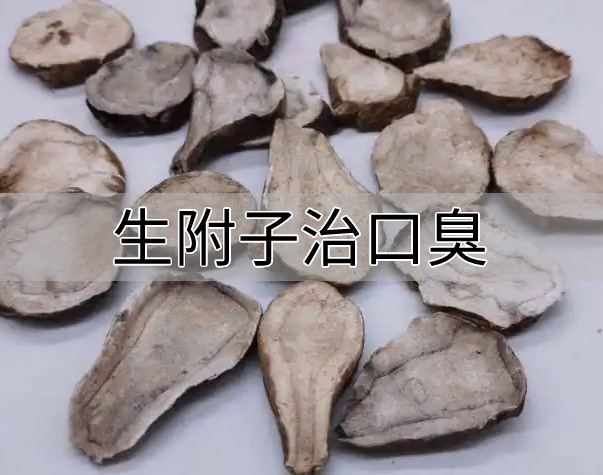 生附子