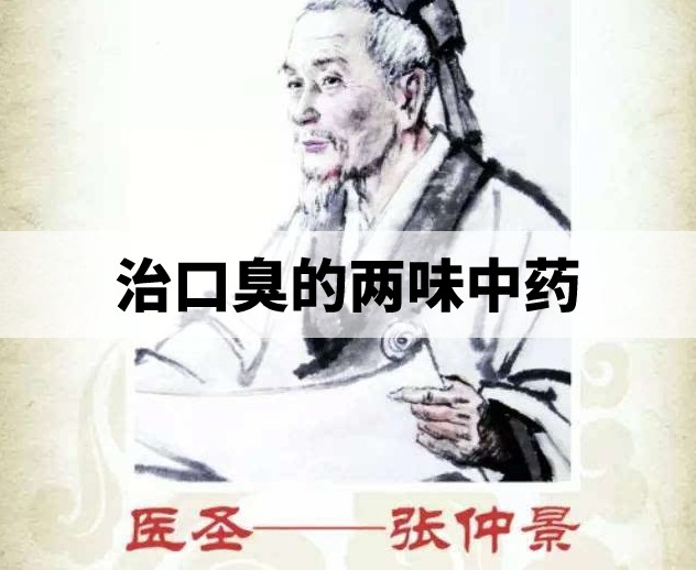 张仲景画像