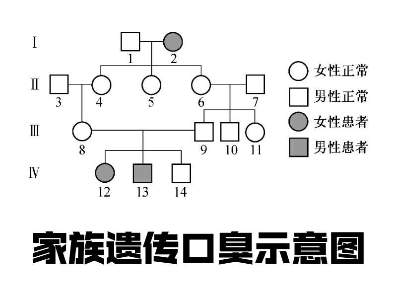 口臭遗传图