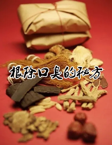 口臭中药秘方