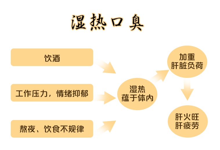 湿热口臭形成机制图