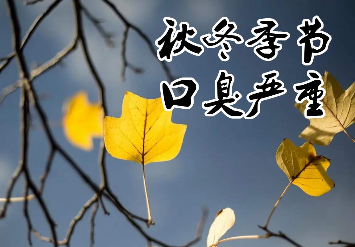 秋冬季节口臭