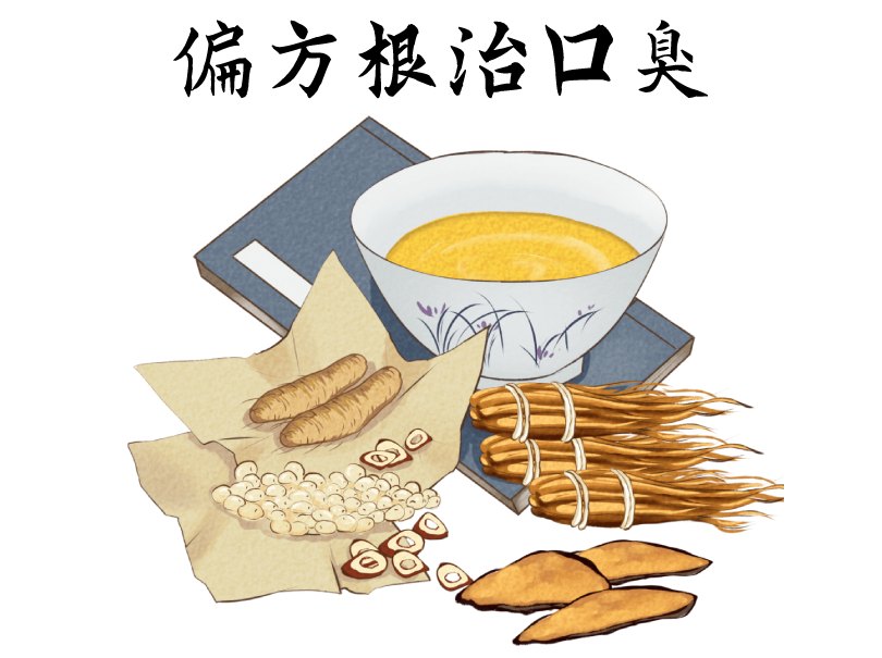 口臭中药偏方