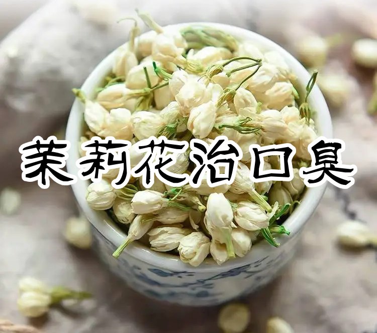 中药茉莉花