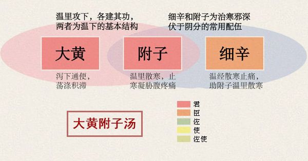 大黄附子汤配伍图