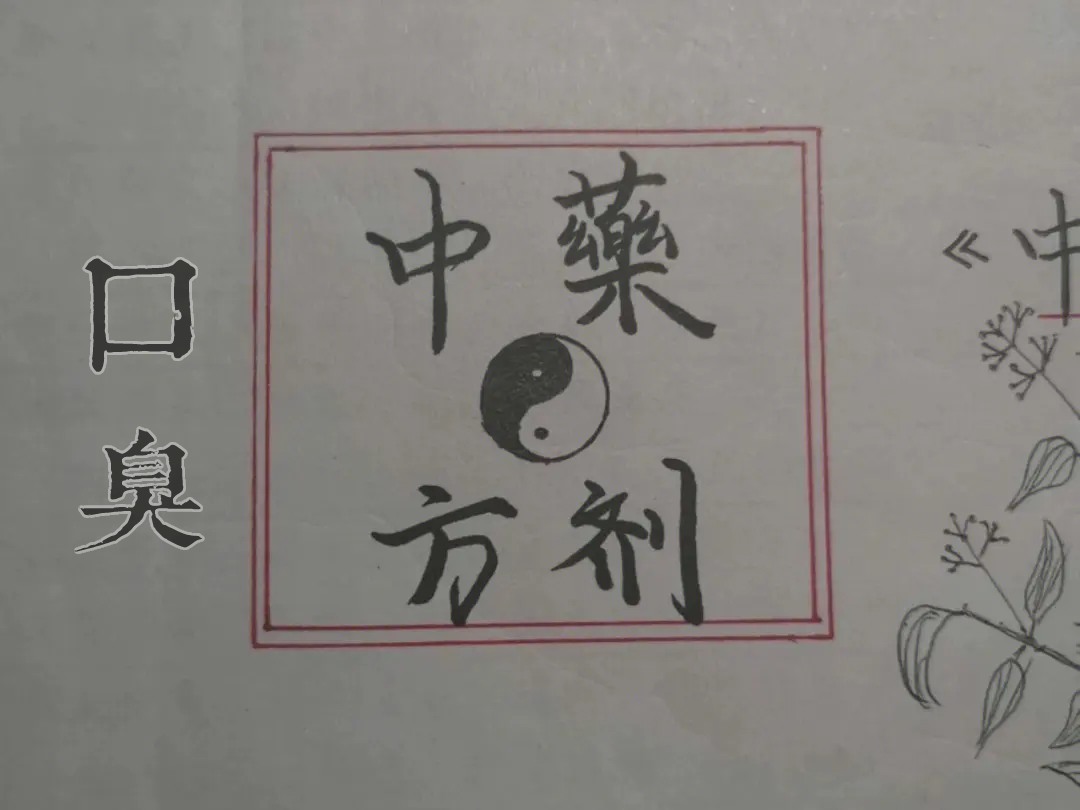 口臭方剂