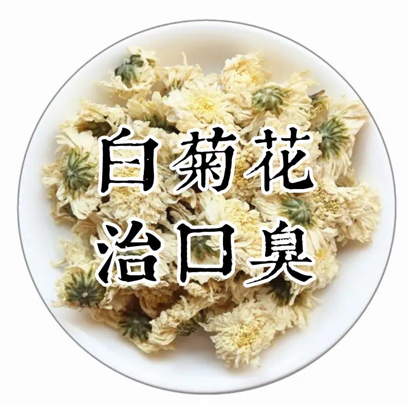 白菊花实拍图