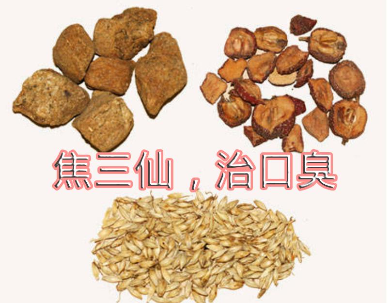 焦三仙治口臭