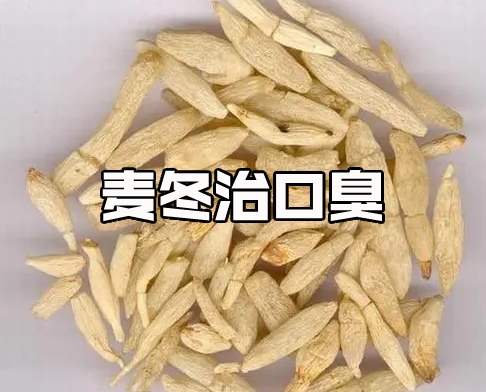 口臭喝麦冬