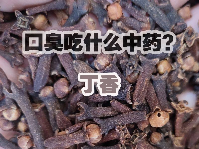 口臭吃丁香