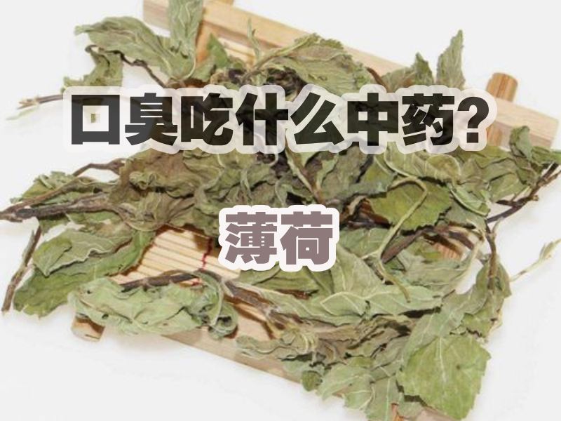 口臭吃薄荷