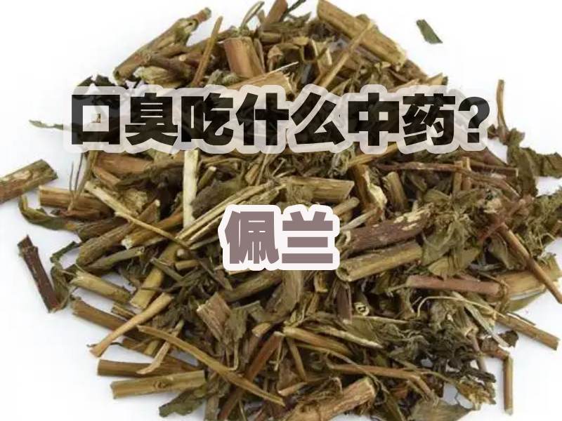 口臭吃佩兰