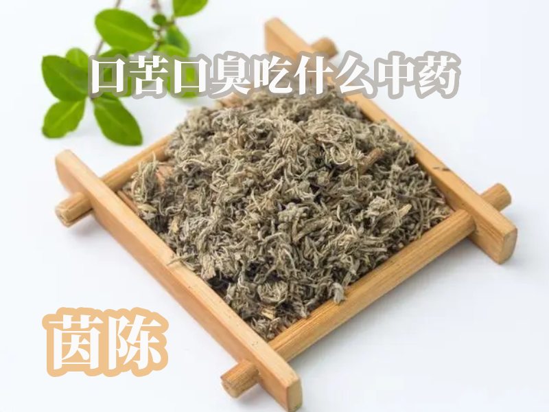 茵陈治口臭