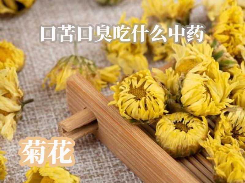 菊花治口臭