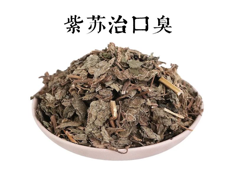 中药紫苏