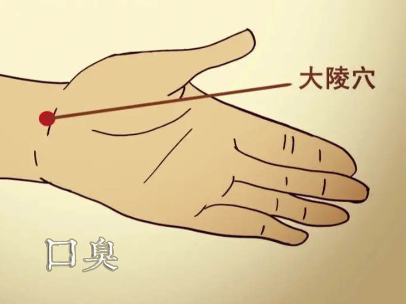 大陵穴位置图