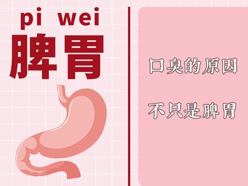 脾胃口臭